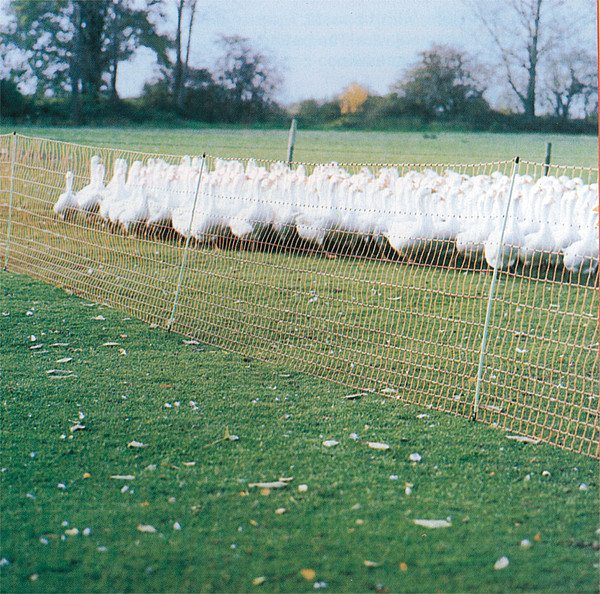 Geflügelnetz, grün, 112 cm hoch mit Doppelspitze, 50 m