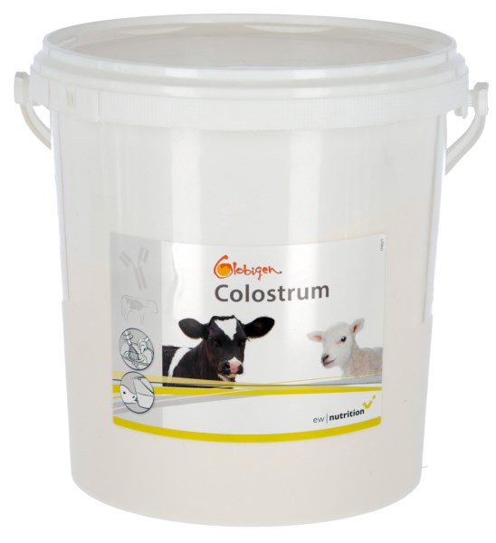 Ergänzungsfuttermittel Globigen Colostrum