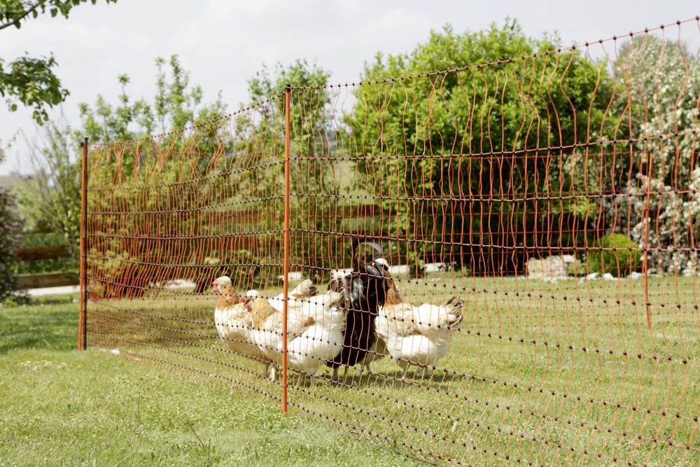 Unterstützungspfähle für Weidenetze, 120 cm