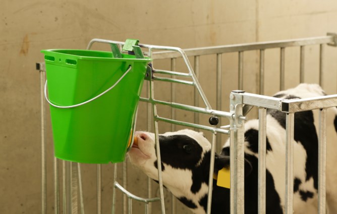 Auswurfsicherung für Tränkeeimer Bucket Guard, 3 Stück/ Pack