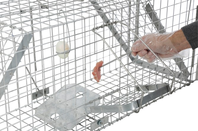 Zubehörset für Alive Predator Super