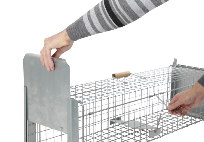 Kastenfalle Alive Predator Super