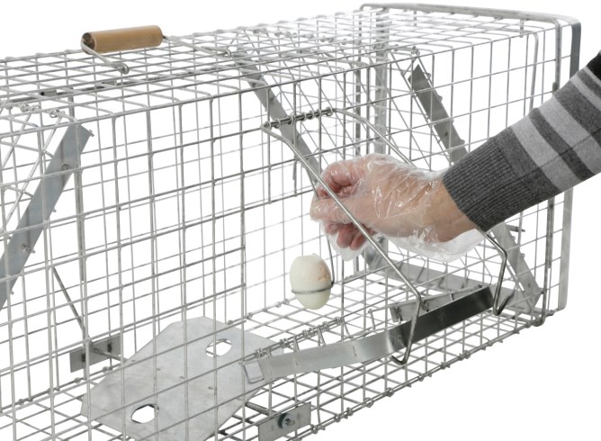 Zubehörset für Alive Predator Super