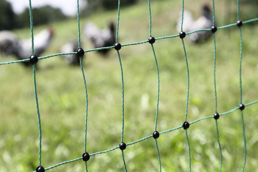 Geflügelnetz PoultryNet 15 m elektrifizierbar, 106 cm