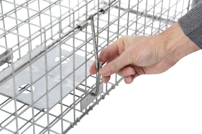 Kastenfalle Alive Predator Super