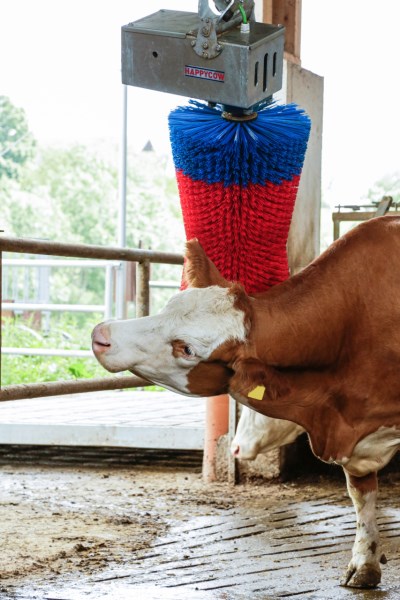 Kuhputzmaschine HAPPYCOW MaxiSwing