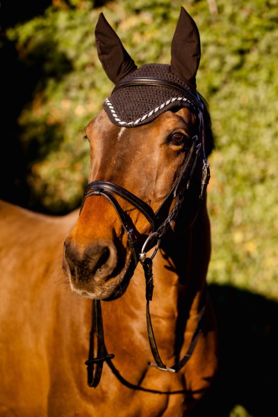 Fliegenhaube Classic, versch. Farben