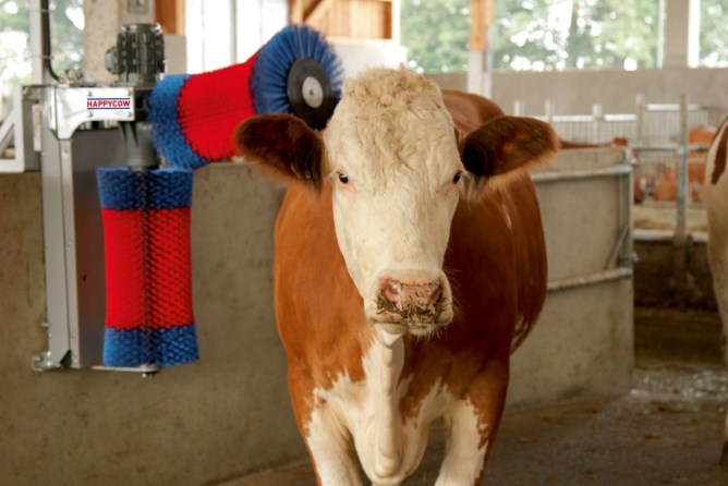 Kuhputzmaschine HAPPYCOW Duo