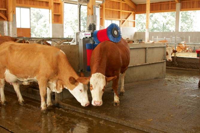 Kuhputzmaschine HAPPYCOW Duo