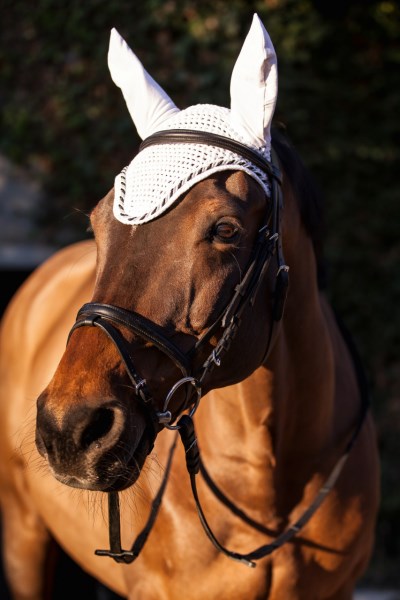 Fliegenhaube Classic, versch. Farben
