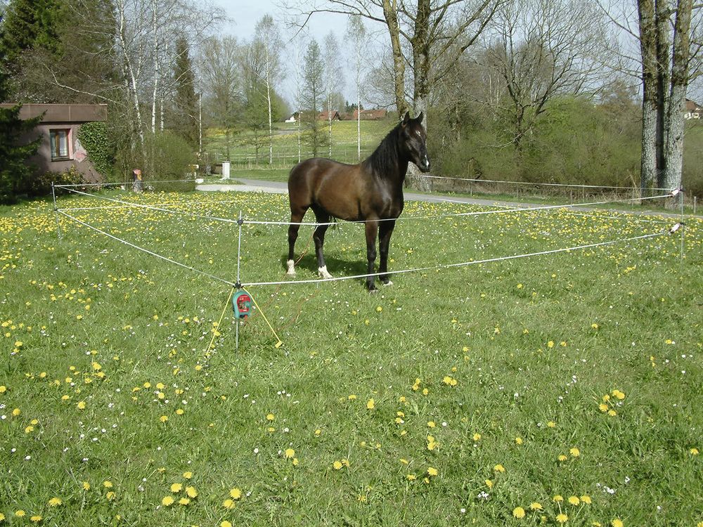 Wanderreiterset mit 100 m Band inkl. 2 x 1,5 V Batterie-Weidezaungerät B 40