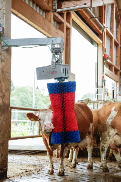 Kuhputzmaschine HAPPYCOW MaxiSwing