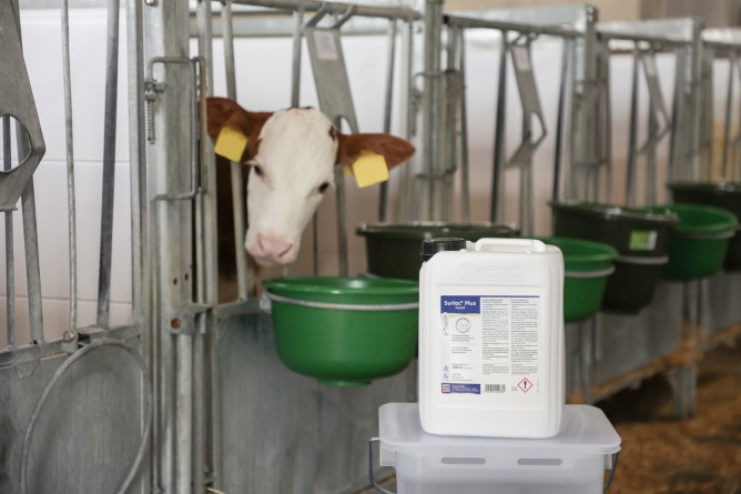 Ergänzungsfuttermittel Surlac® Plus Liquid