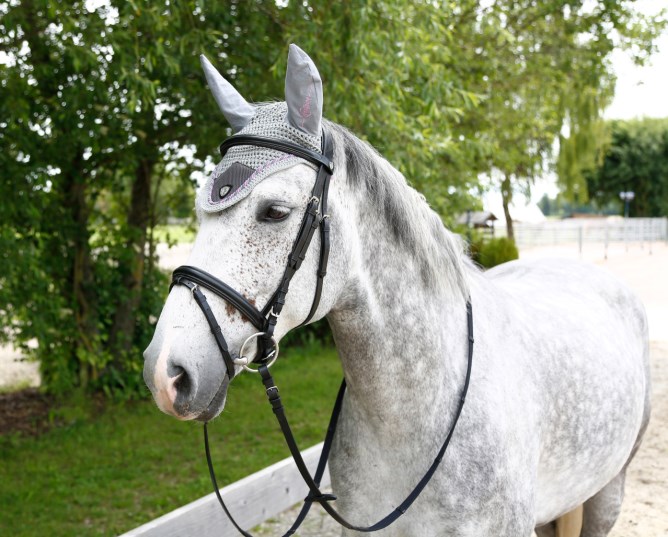 Fliegenhaube Tampa, versch. Farben