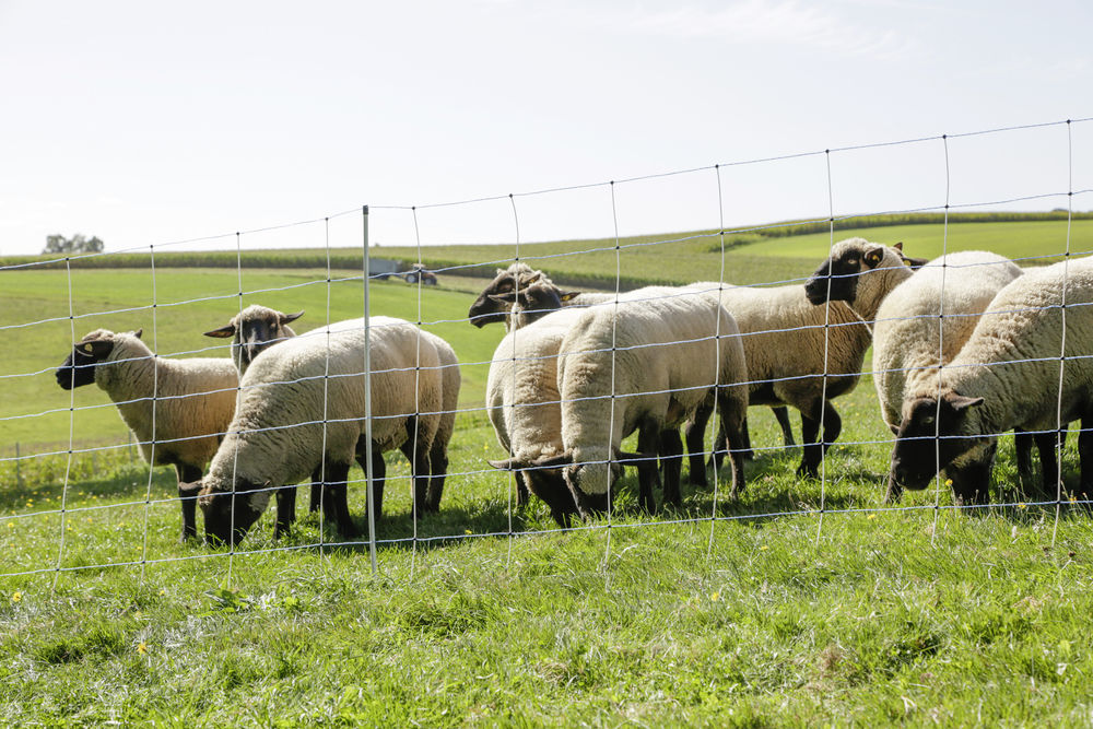 WolfNet Vario 108 cm