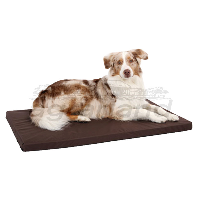 Hundekissen, versch. Größen