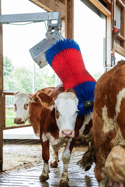 Kuhputzmaschine HAPPYCOW MaxiSwing