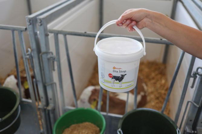 Ergänzungsfuttermittel Globigen Dia Stop