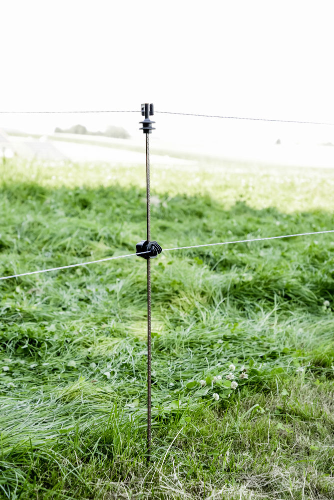 Federstahlpfahl rund 8 mm, 1,07 m, mit Kopfisolator, 10 Stück/ Pack