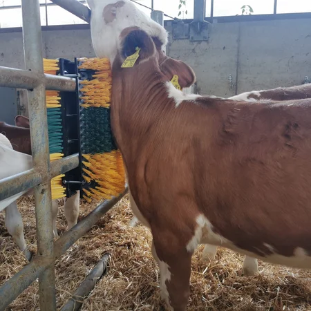 Kratzbürste Multifix Patura KAUFE 4 - BEKOMME 5 ! Kratzbürste Multifix Patura KAUFE 4 - BEKOMME 5 !