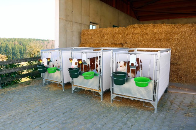 Zubehör für Kälberboxen