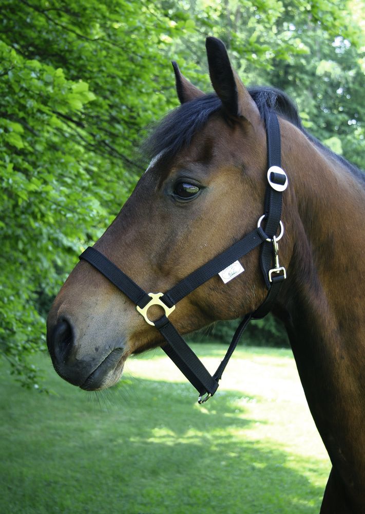 Halfter Classic, schwarz