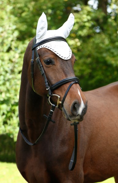 Fliegenhaube Classic, versch. Farben