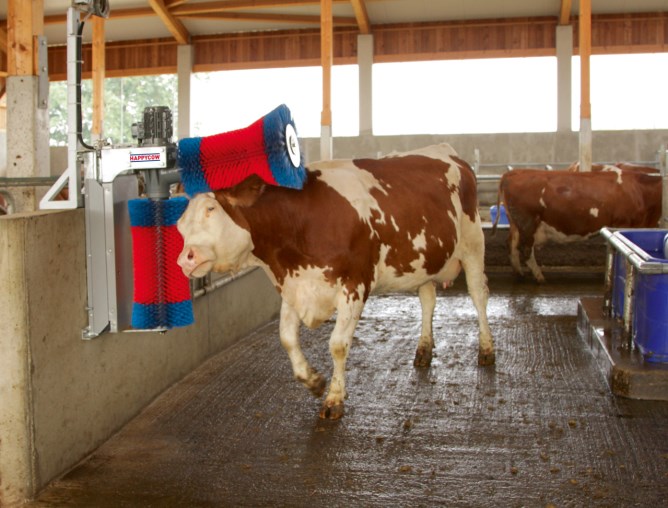 Kuhputzmaschine HAPPYCOW Duo