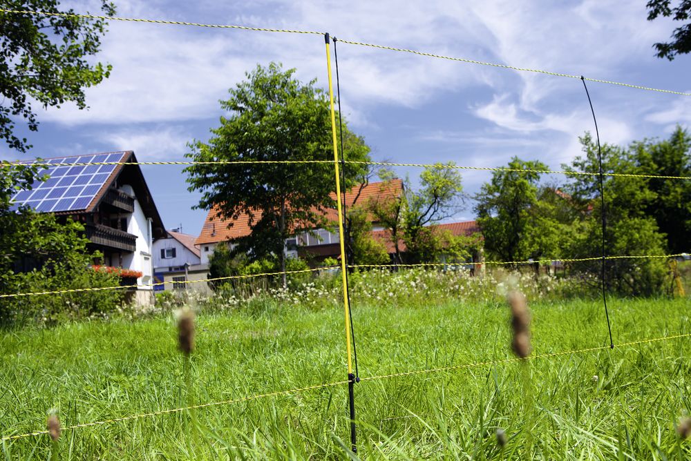 Ersatzpfahl für EasyNet, Einzelspitze, 105 cm