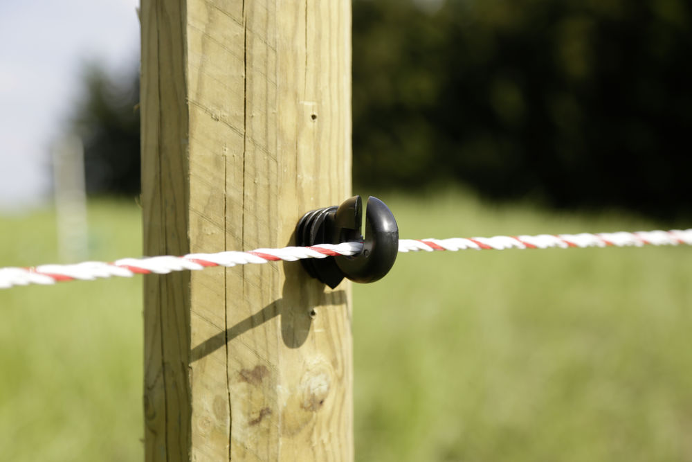 Ringisolator Easy Drill EDX 25 Stück/ Pack