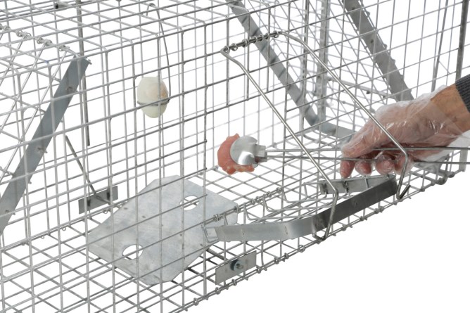 Zubehörset für Alive Predator Super