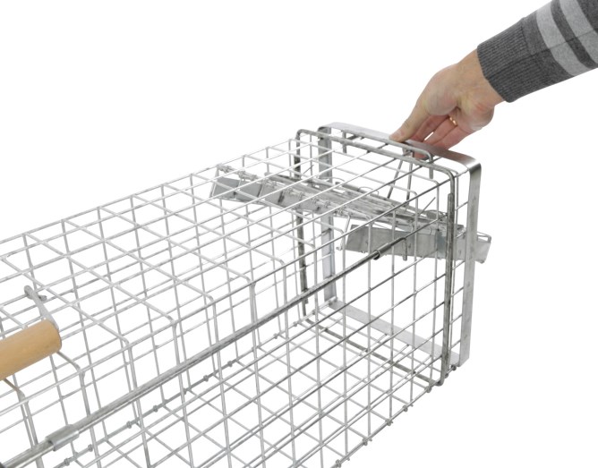 Kastenfalle Alive Predator Super