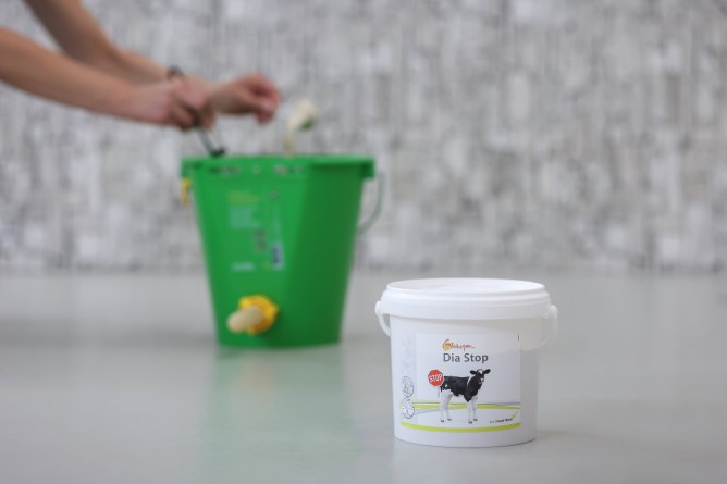 Ergänzungsfuttermittel Globigen Dia Stop