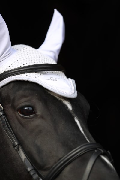 Fliegenhaube Empara, versch. Farben