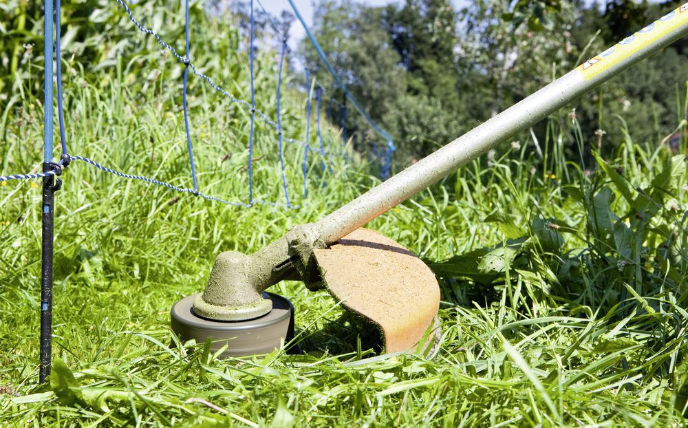 Ersatzpfahl blau für WildNet