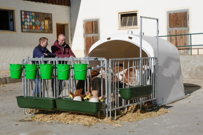 Zubehör für Kälberhütte Premium XL