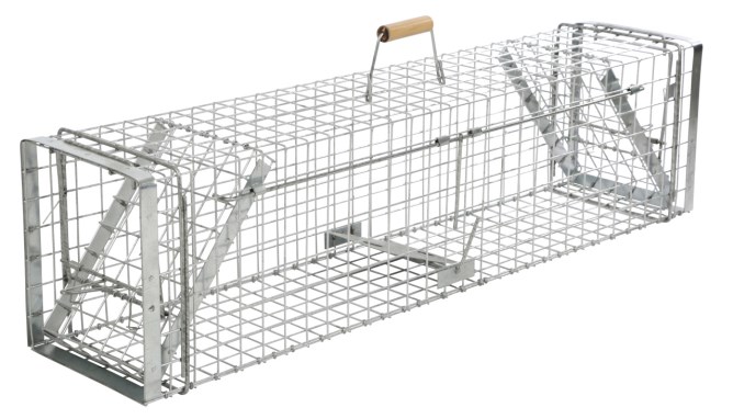 Kastenfalle Alive Predator Super