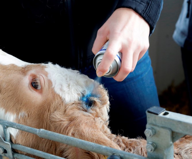 Blauspray Agro Chemica