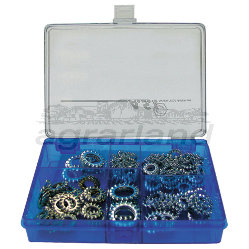 Sortiment Fächerscheiben, 200-teilig