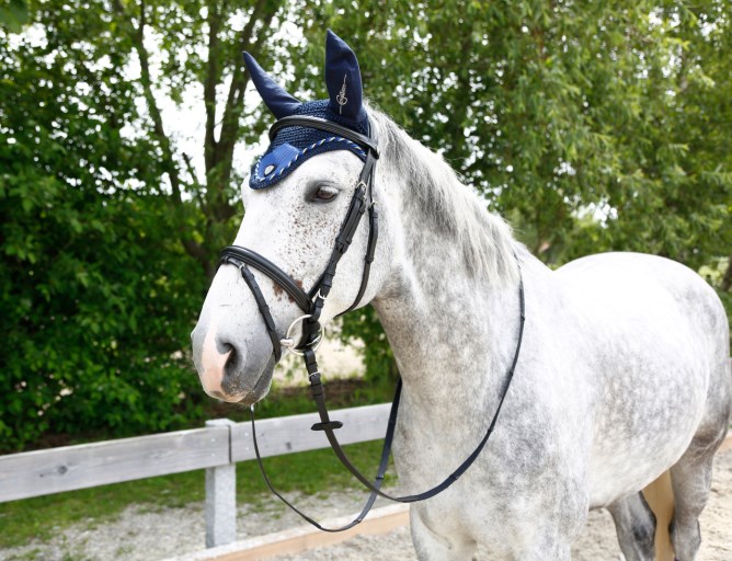 Fliegenhaube Tampa, versch. Farben