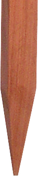 	PATURA-Hartholz-Pfahl, isolierend, 1500 x 38 x 38 mm