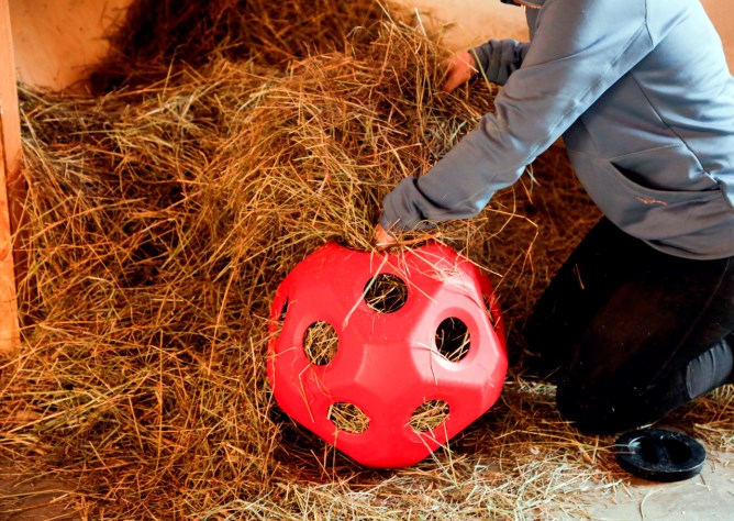 Futterspielball HeuBoy
