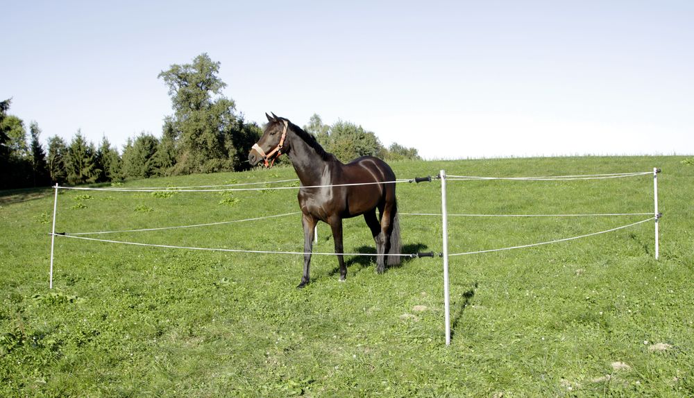 Turnier/Paddock Set 7 x 7 m ohne Weidezaungerät