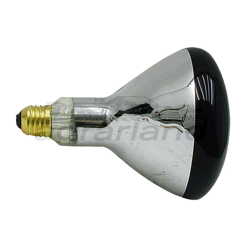 Infrarotglühlampen, versch. Ausf.