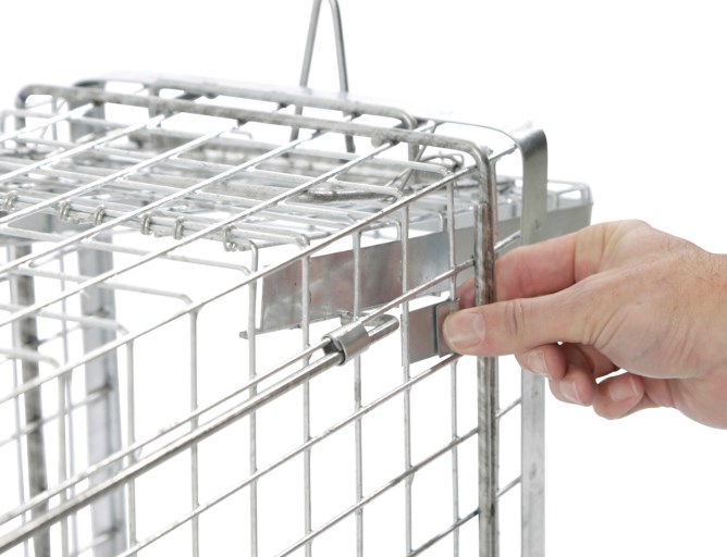 Kastenfalle Alive Predator Super