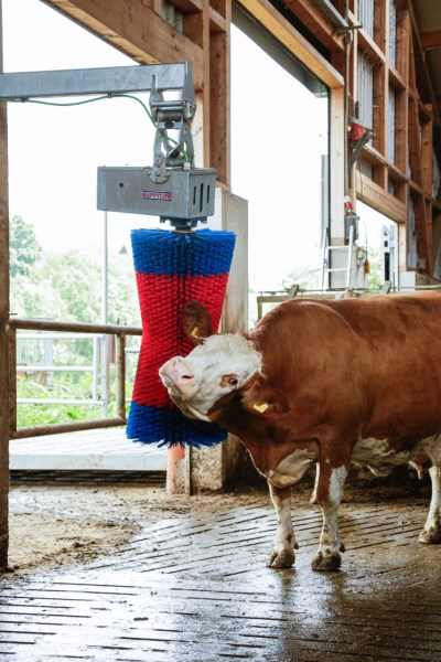 Kuhputzmaschine HAPPYCOW MaxiSwing