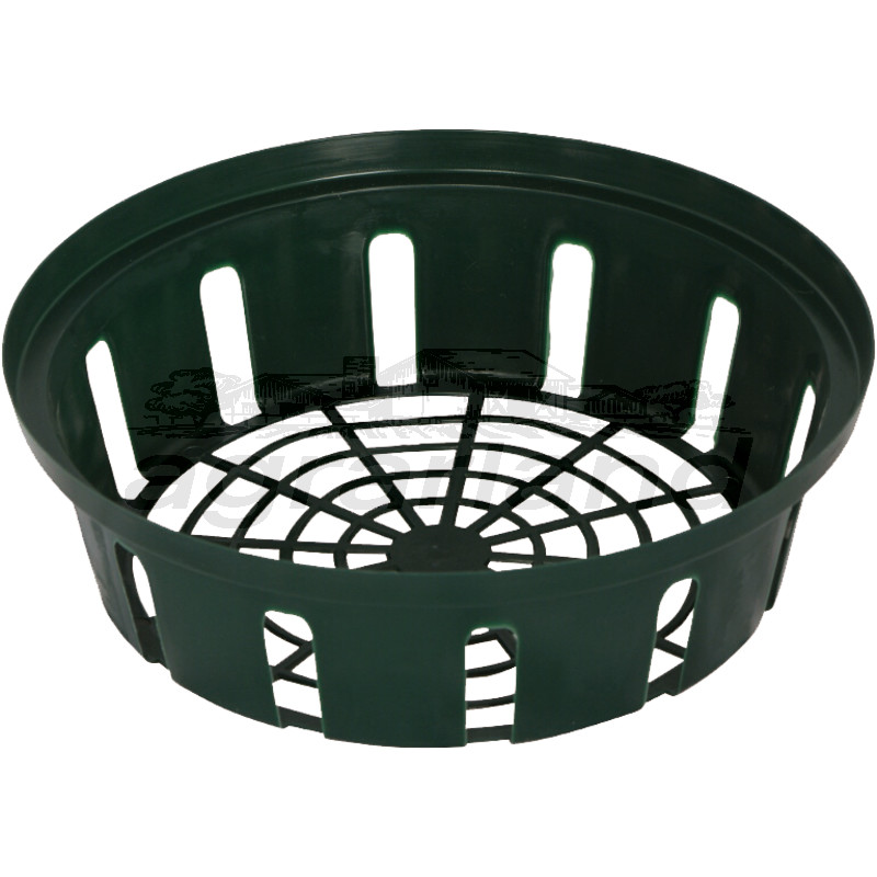 Blumenzwiebel-Pflanzschale 