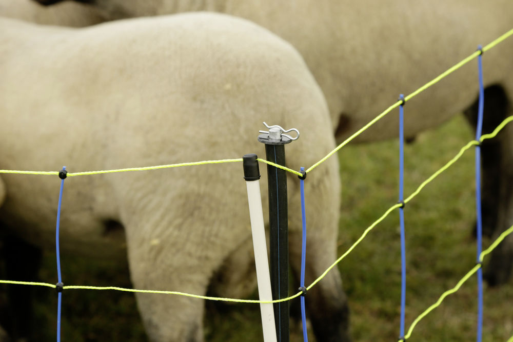 Unterstützungspfähle für Weidenetze, 120 cm