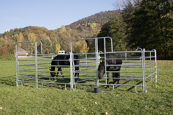 Panel-6 mit Tor und Fressgitter 2,40 m